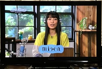 モンモン　46インチ　テレビ　パナソニック　TH-P46V11 モンモン 46インチ テレビ パナソニック TH-P46V11 モンモン様